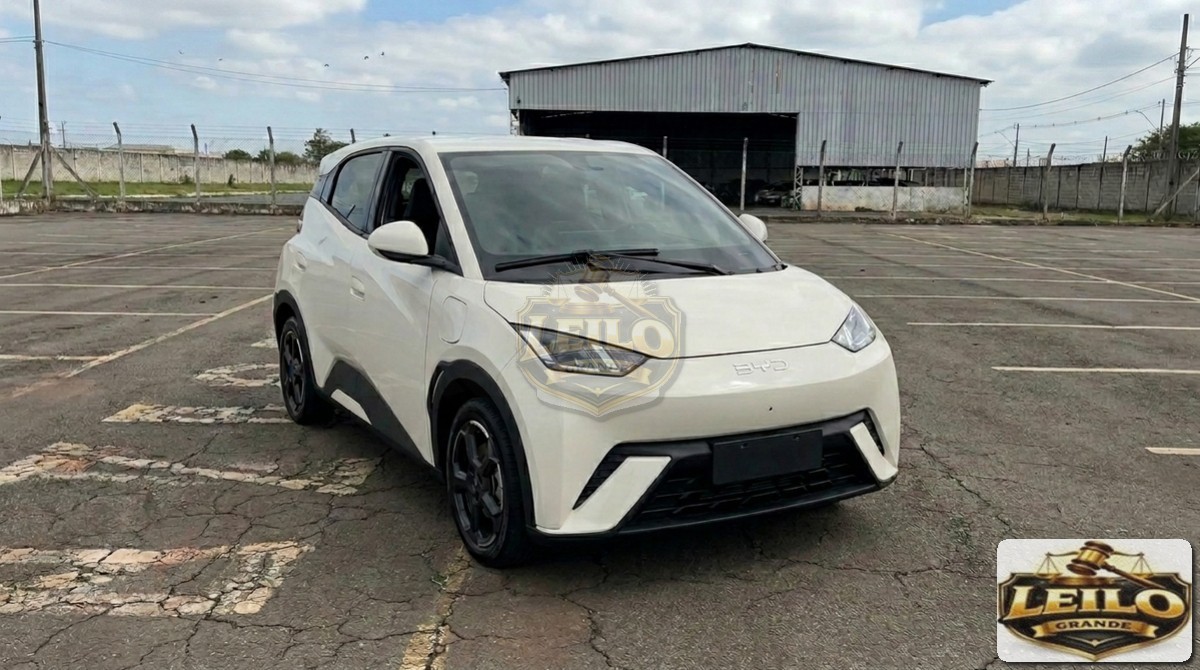 BYD BYD 25/26